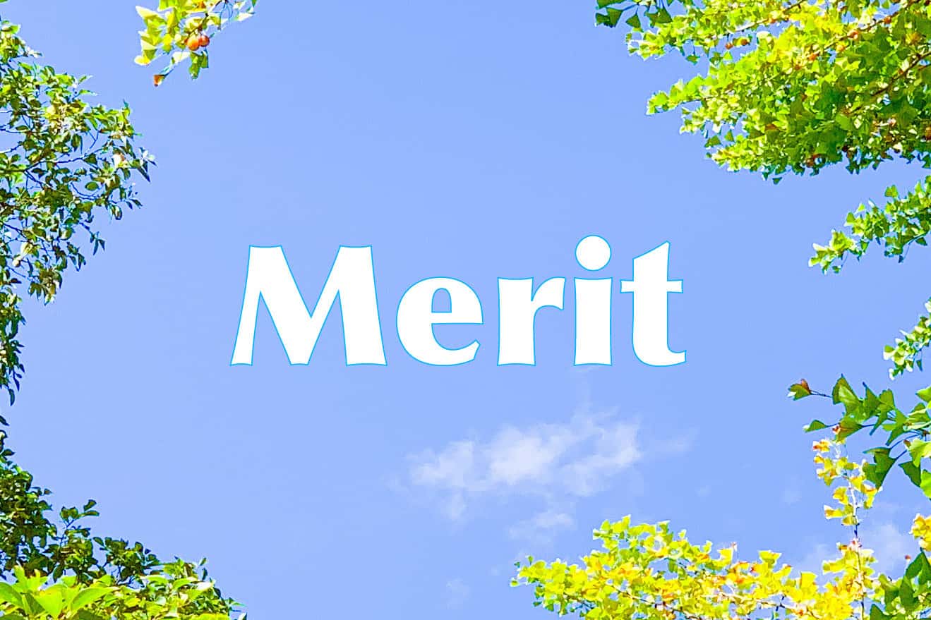 ブラッシング指導を受けるメリットを説明するイメージ